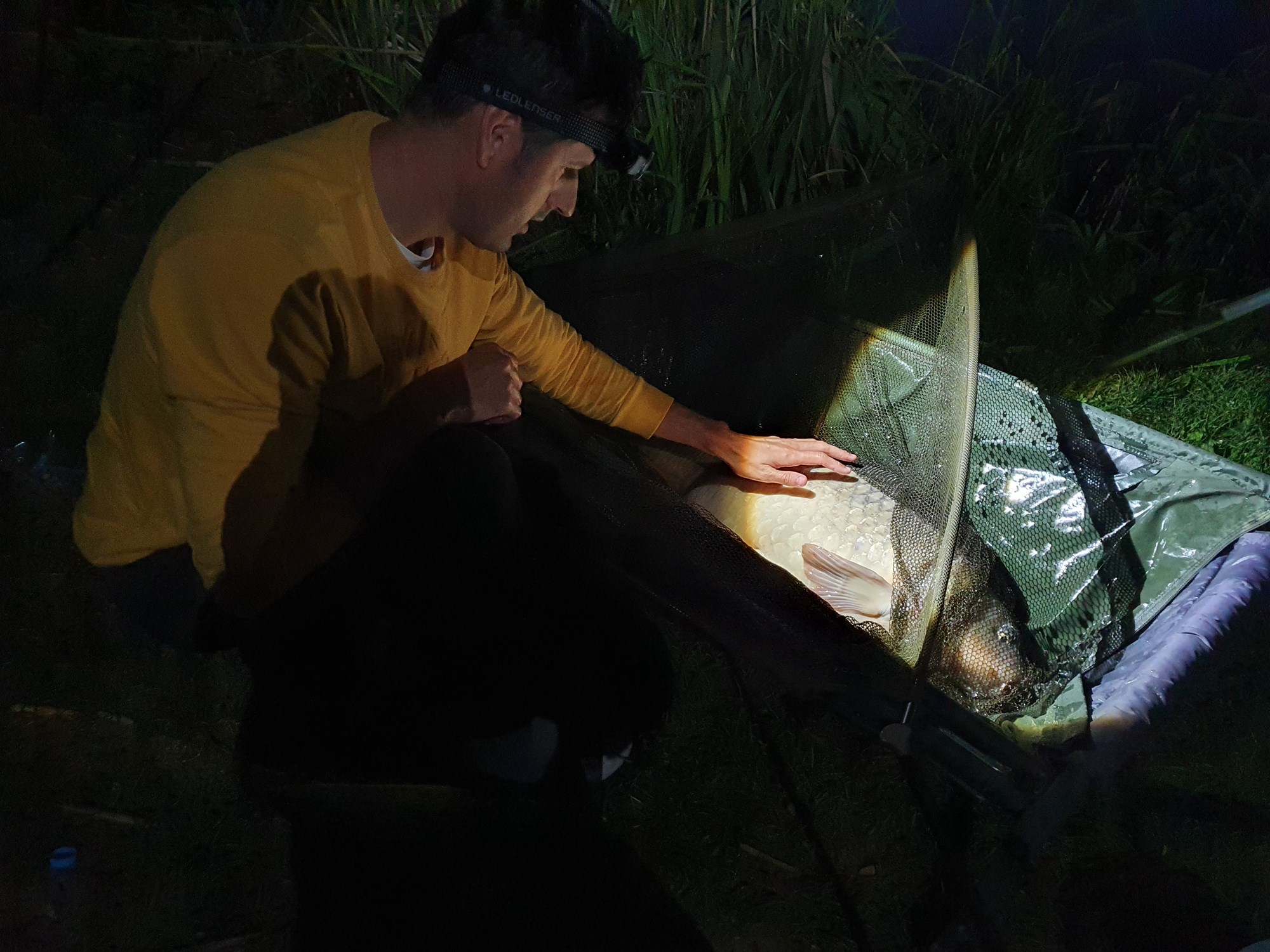 Tancabesti 9 - 12 iulie 2020 - Poza temporară captura